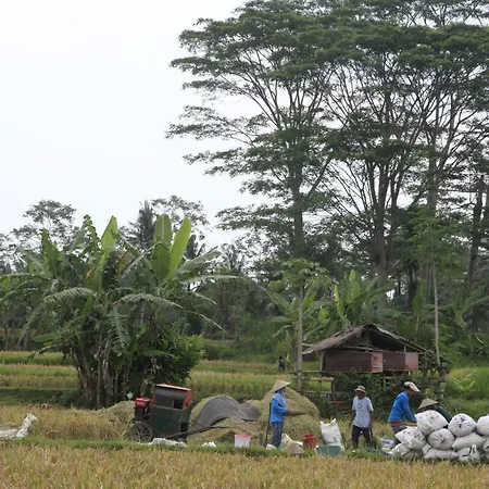 Pondok Gepokan Homestay